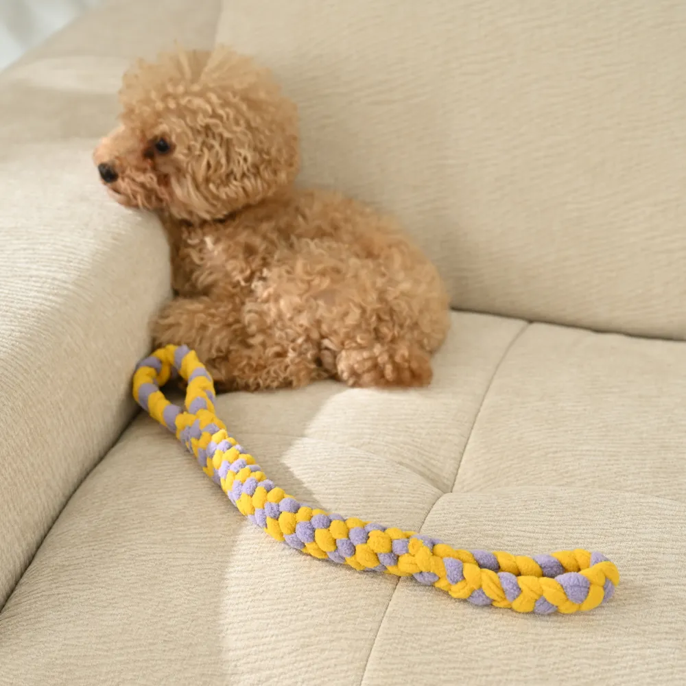 Double Handle Pet Toy