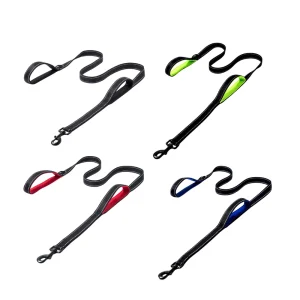 Dual Handle Dog Leash