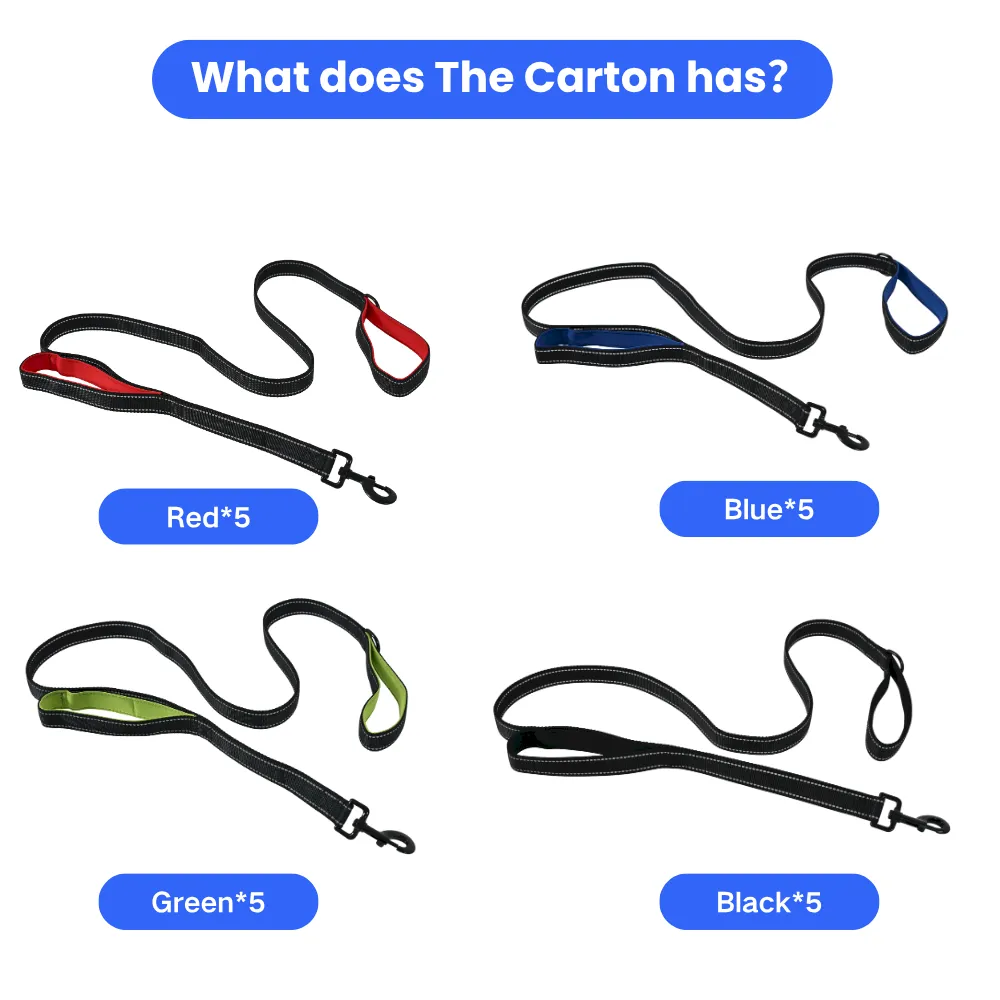 Dual Handle Nylon Dog Leash