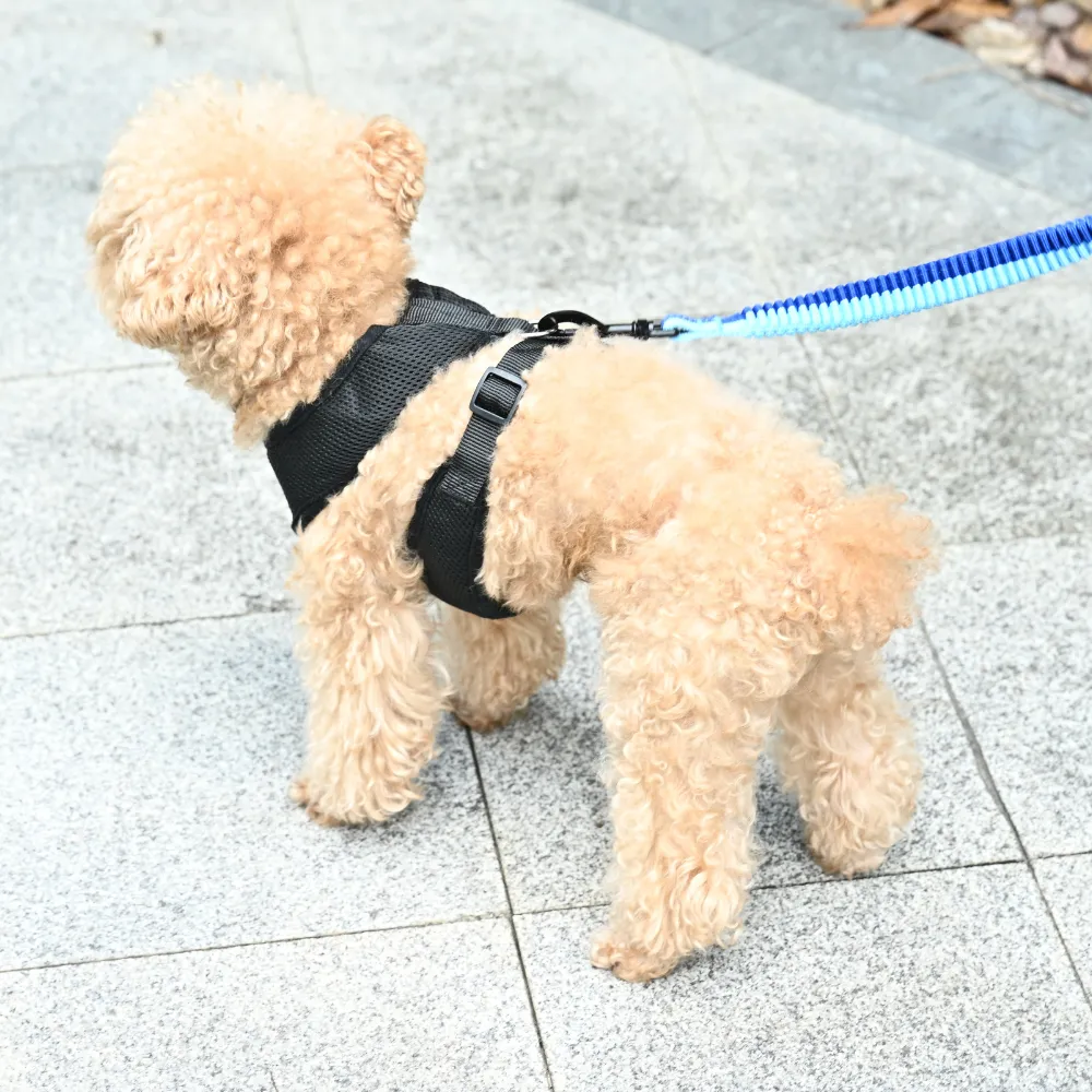 Hot Selling Adjustable Dog Harness