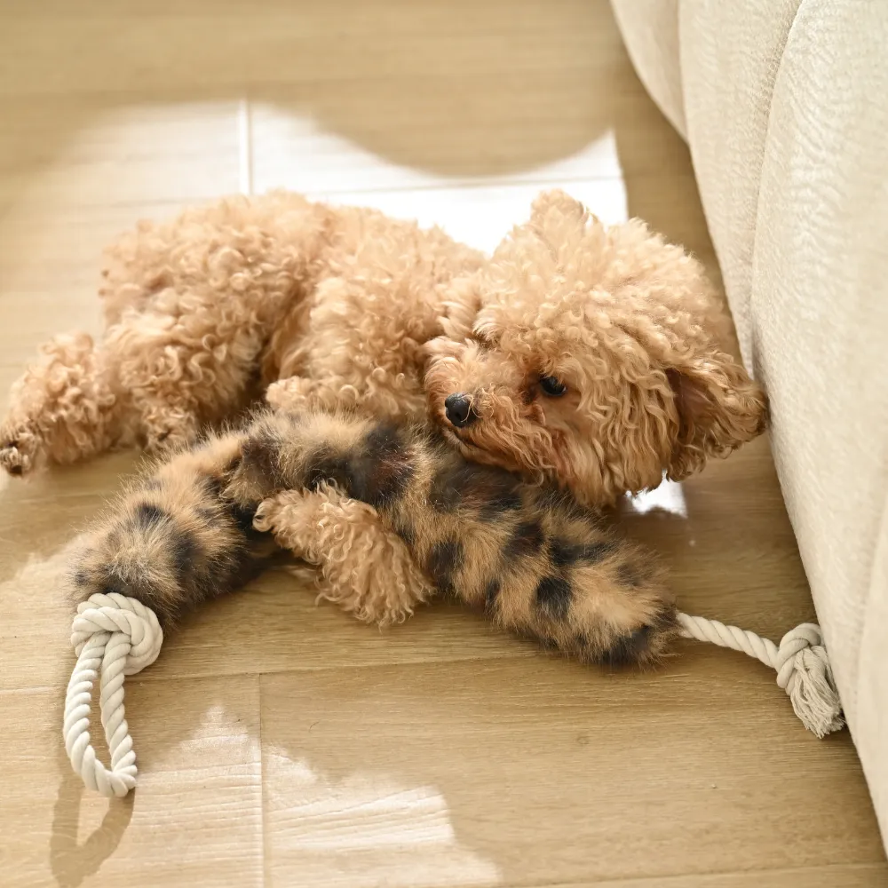 Long Tail Plush Dog Toy wholesale