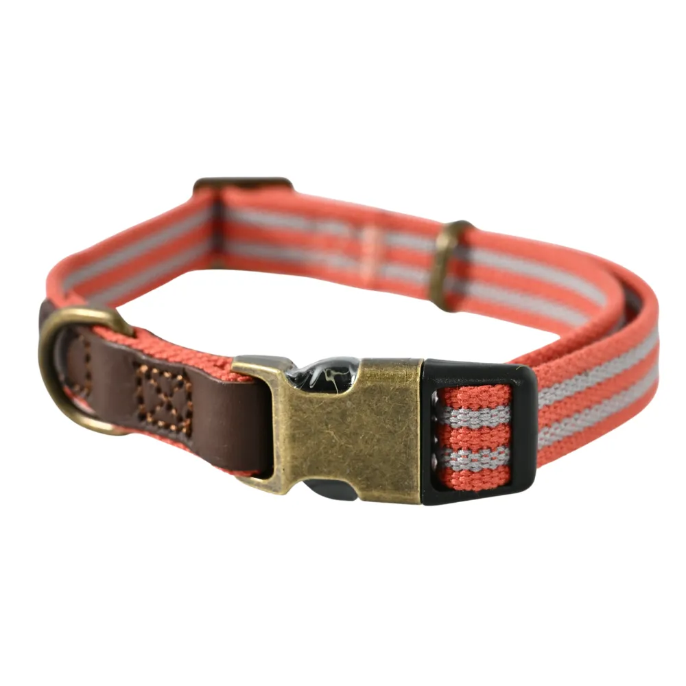 Luxury Dog Collar