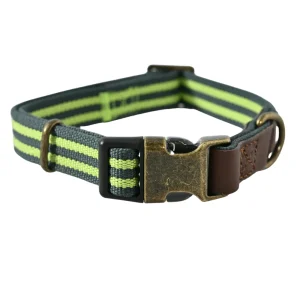 Luxury Dog Collar