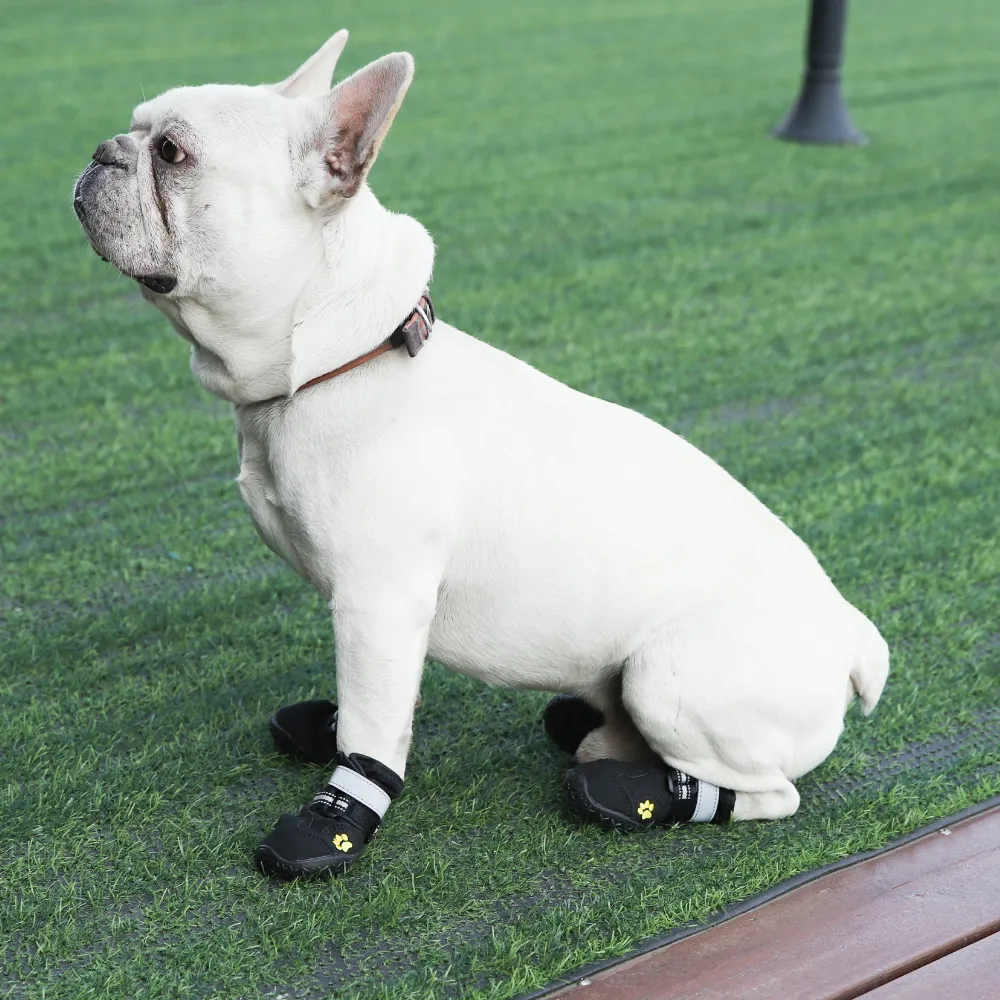Outdoor Dog Shoes