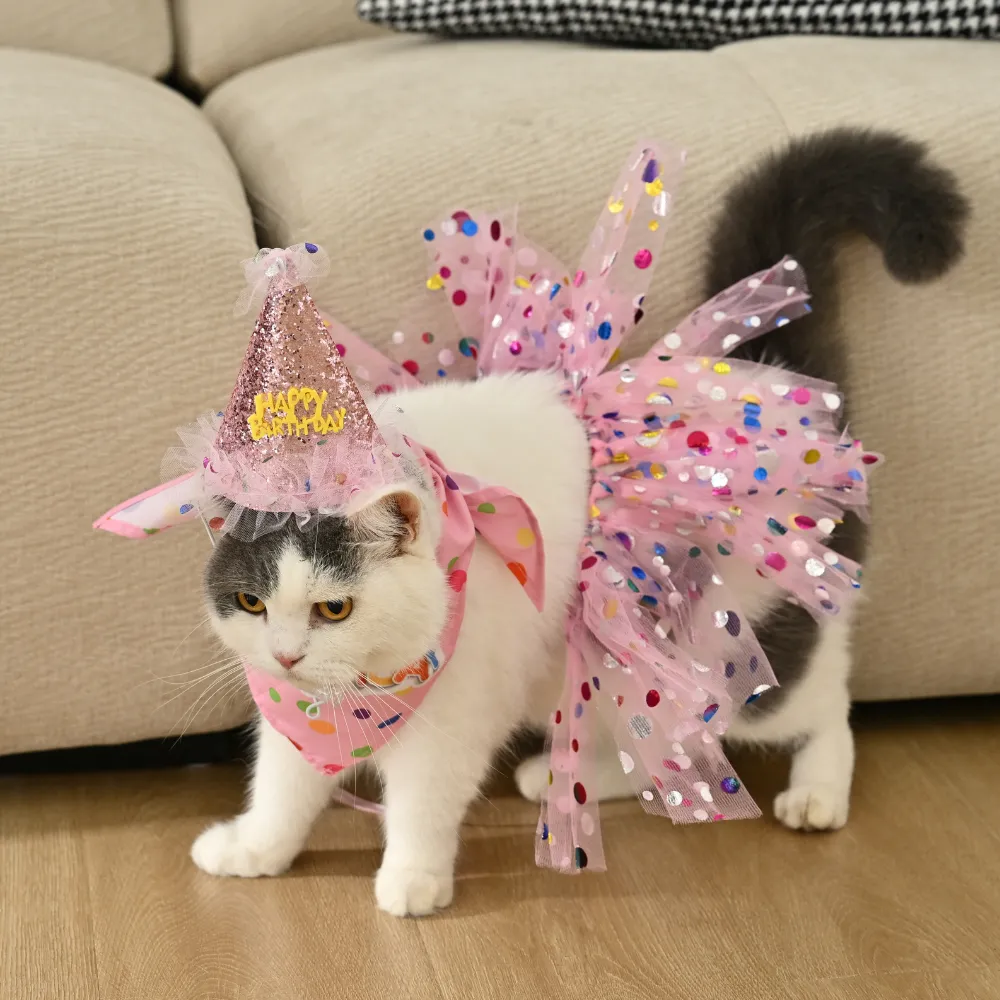 Pet Birthday Clothes