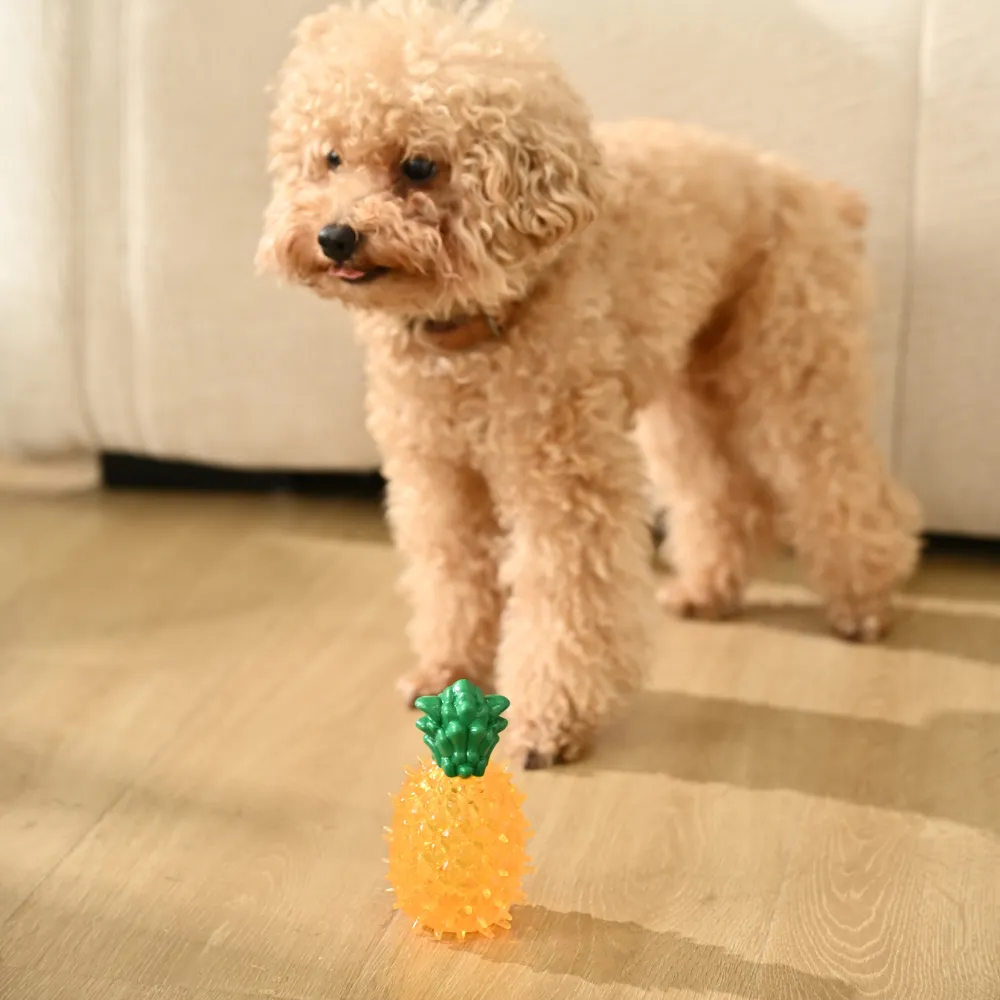 Pineapple Dog TPR Cooling Toy with Squeaker, Yellow, 27pcsCarton