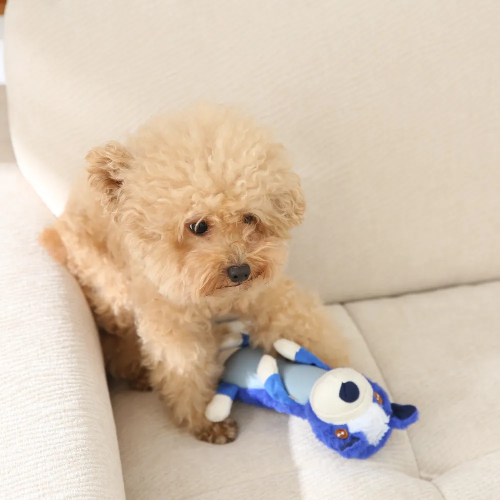 Plush Dog Pet Toy