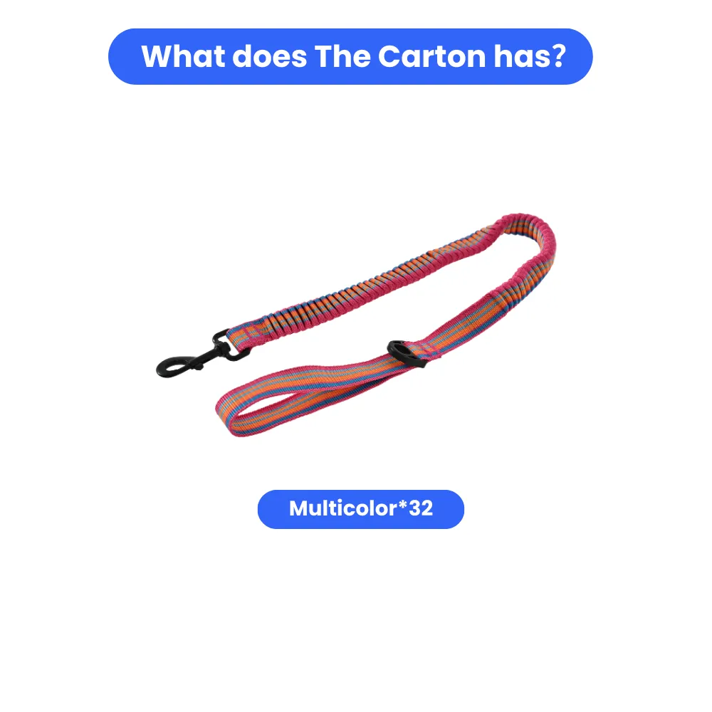 Popular Dog Elastic Leash