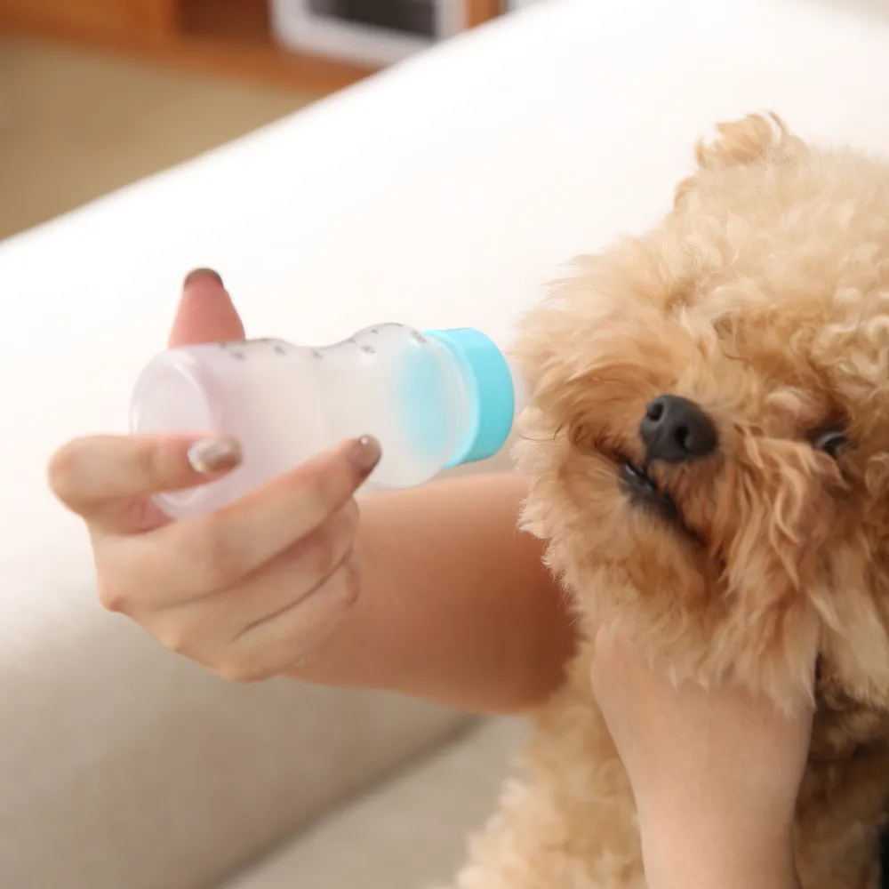 Puppy Bottle Feeding Set