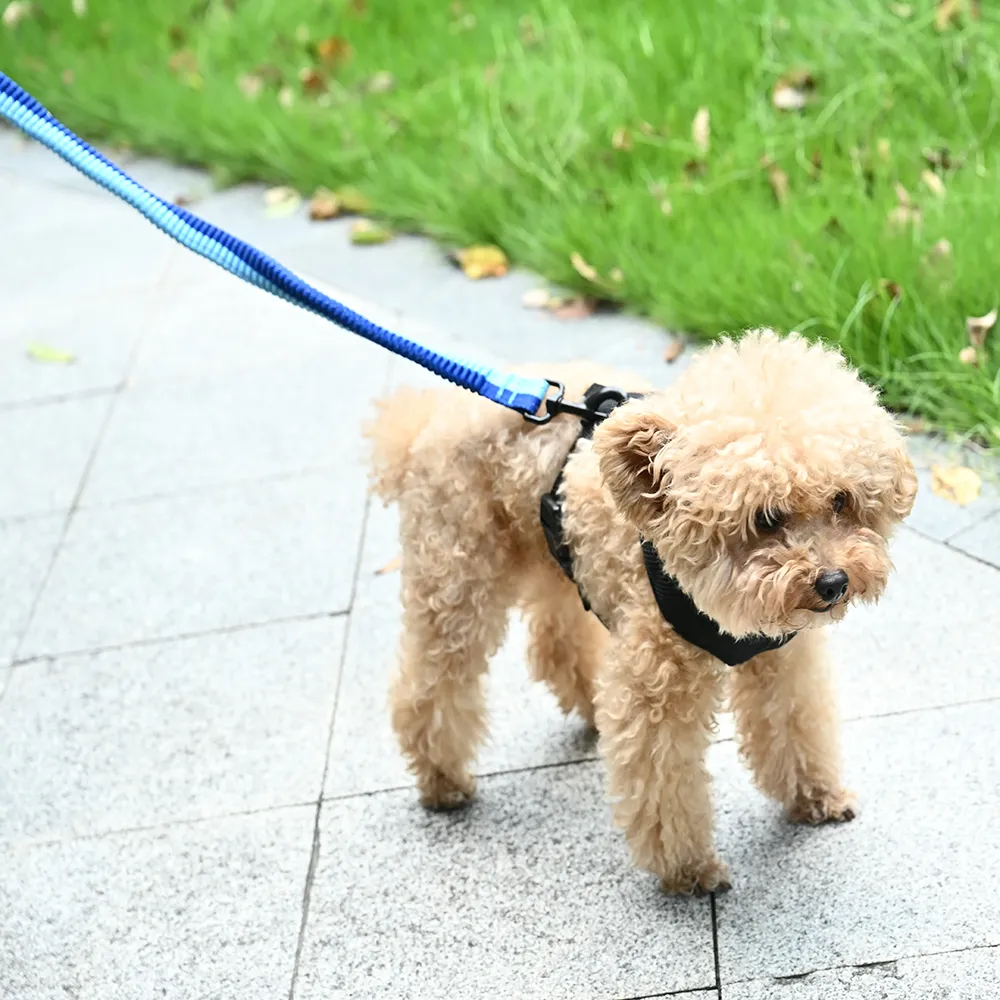 Recycled Dog Collar, L Size, 48pcsCarton