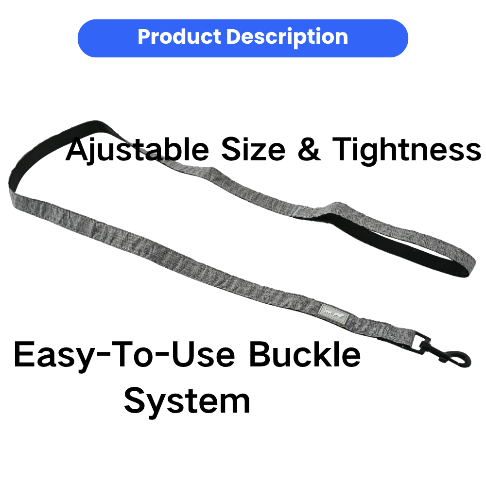 Recycled Dog Leashes Pet