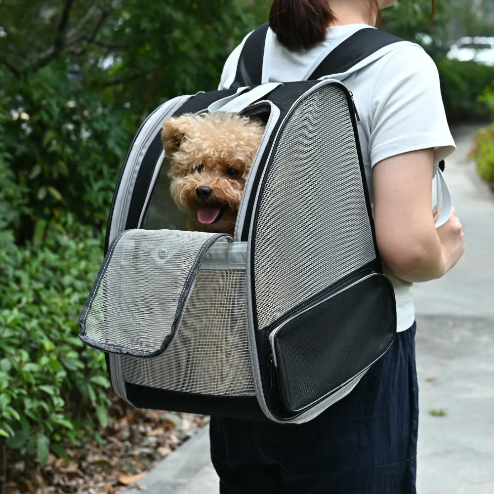 Travel Dog Backpack