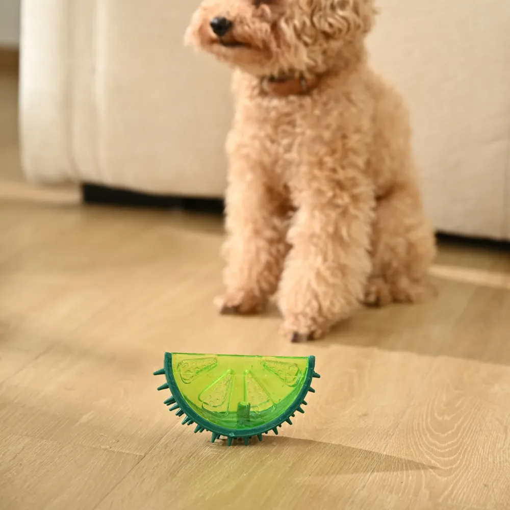 Watermelon Dog TPR Cooling Toy with Squeaker, Green,