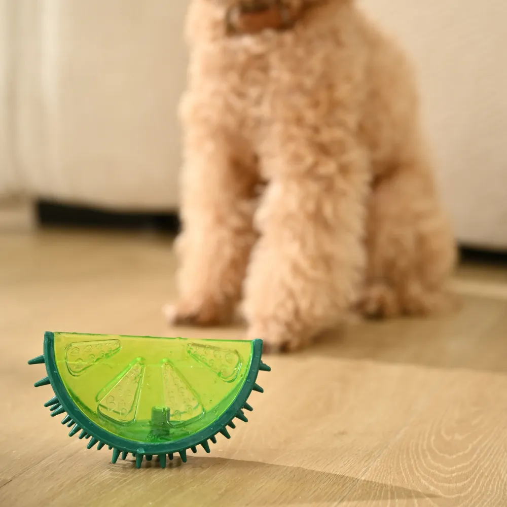 Watermelon Dog TPR Cooling Toy with Squeaker, Green,