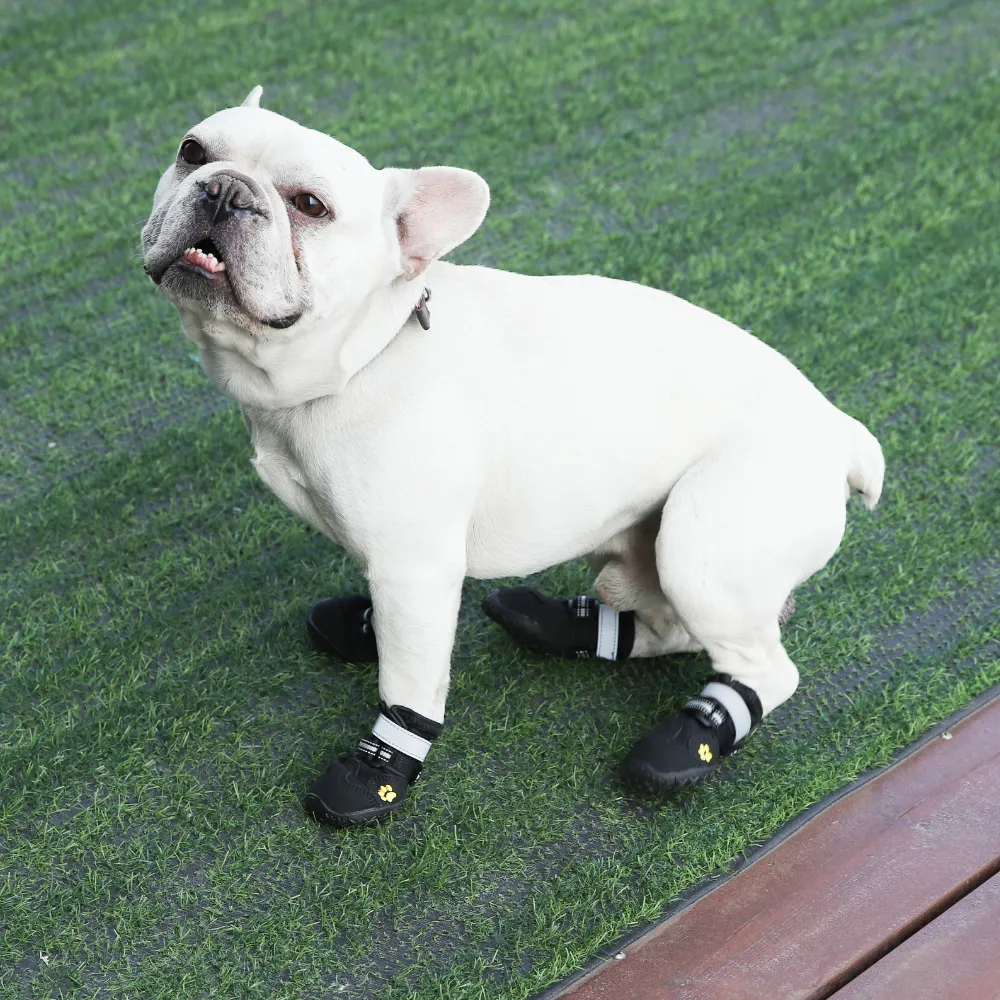 Waterproof Dog Shoes