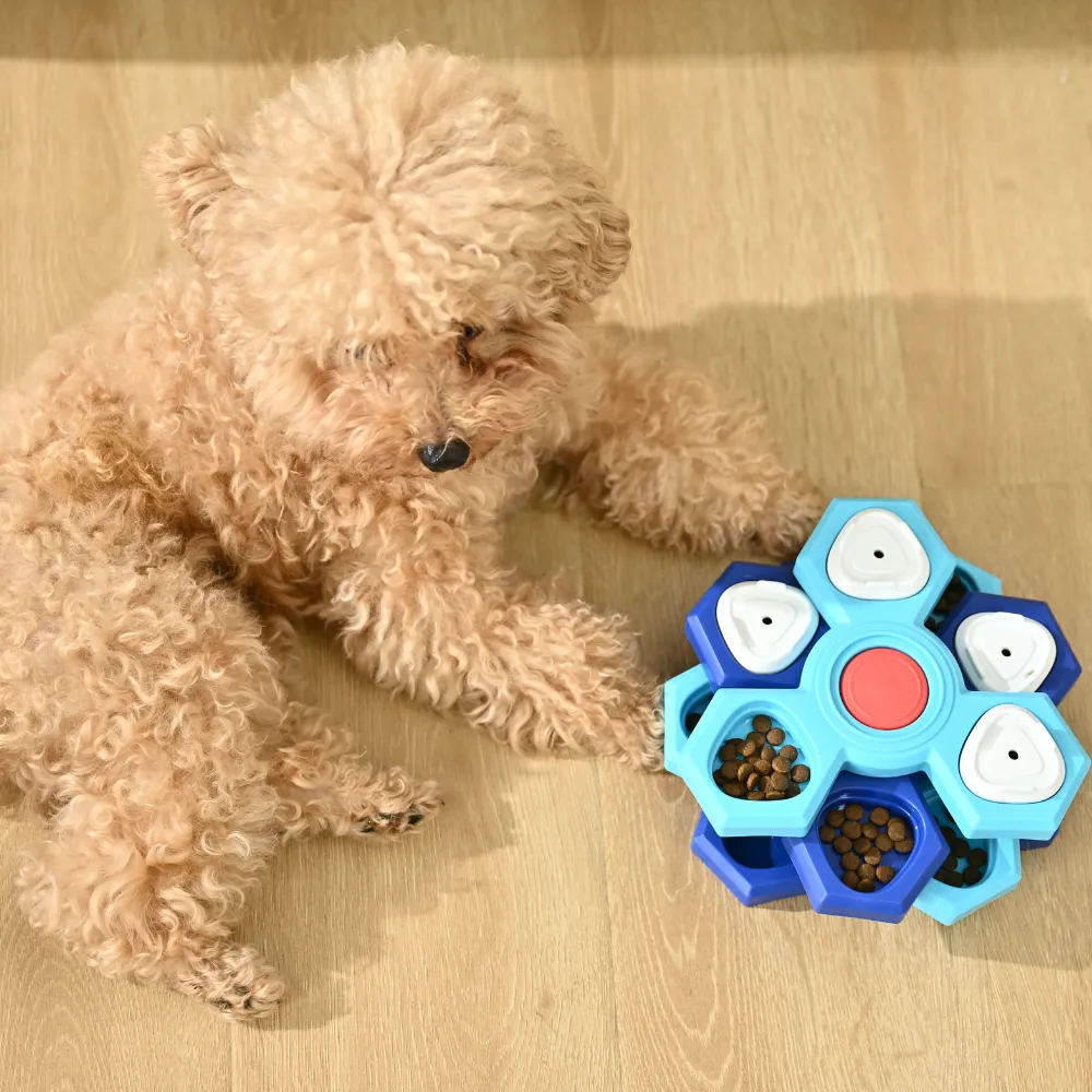 Wholesale Anti-Slip Interactive Dog Slow Feeder Bowl, 4-Layer PP Design, 10pcsCarton