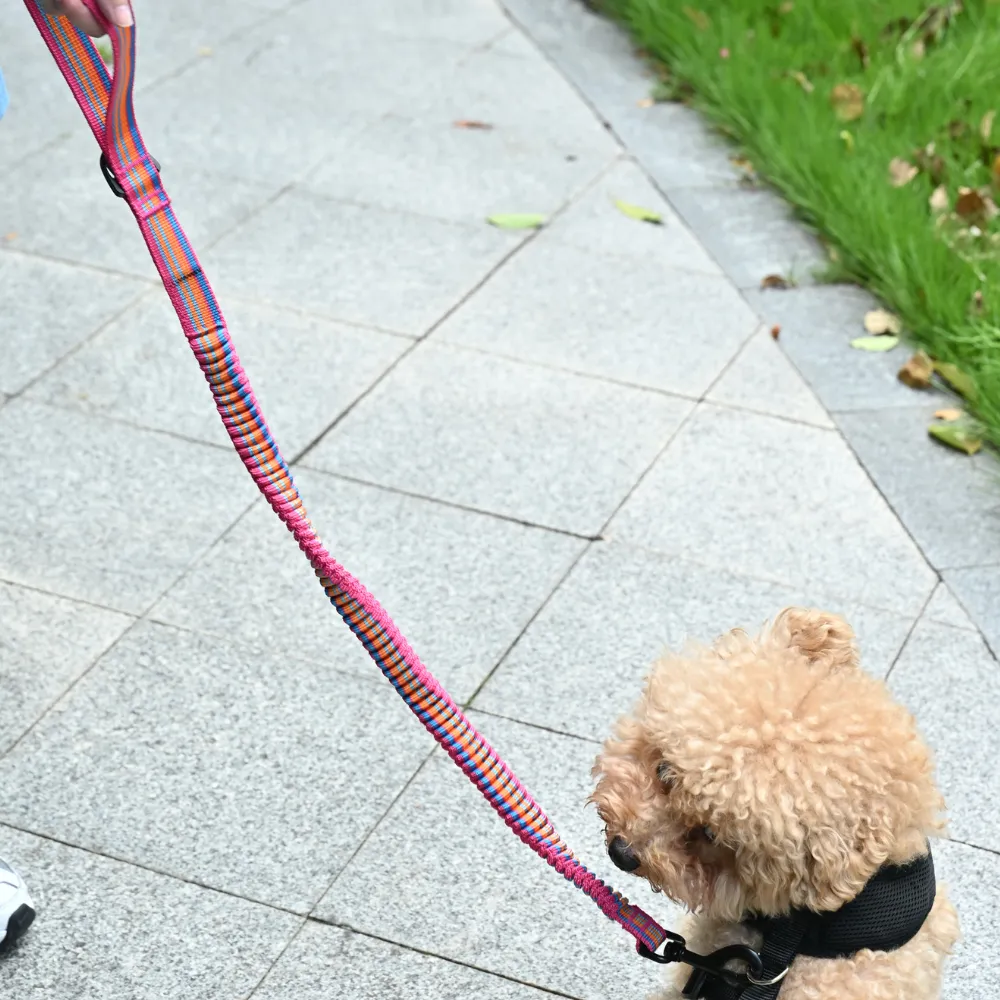 Wholesale Dog Elastic Leash
