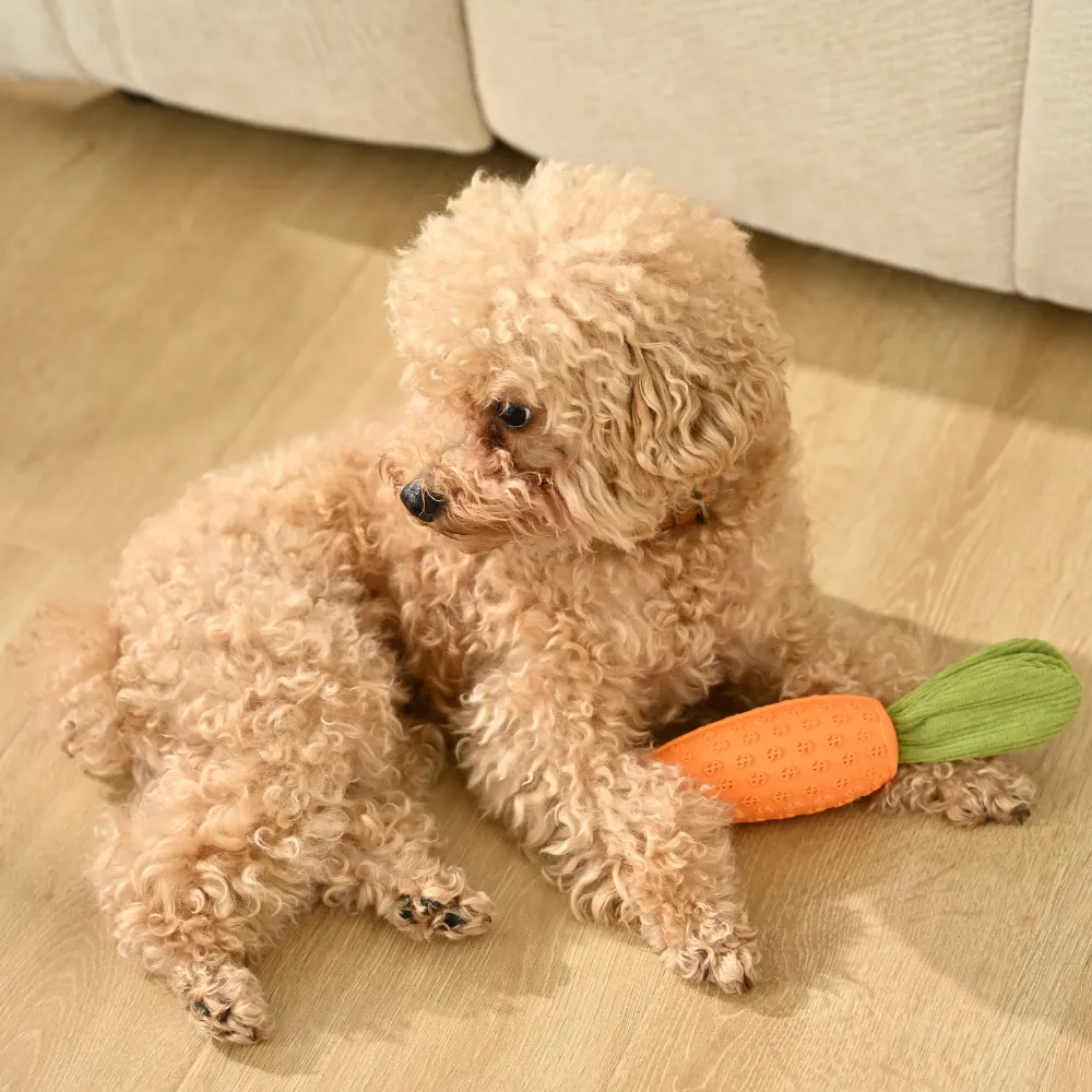 Wholesale Dog Rubber Carrot Toy with Squeaker, 8.75, 10 pcsCarton