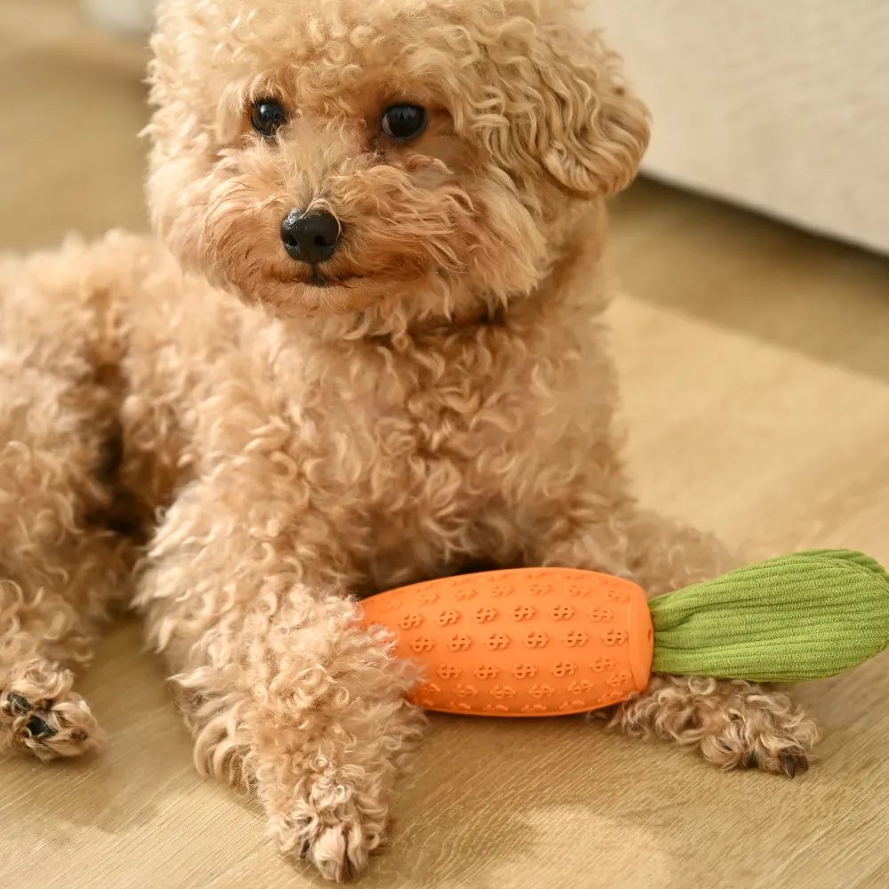 Wholesale Dog Rubber Carrot Toy with Squeaker, 8.75, 10 pcsCarton