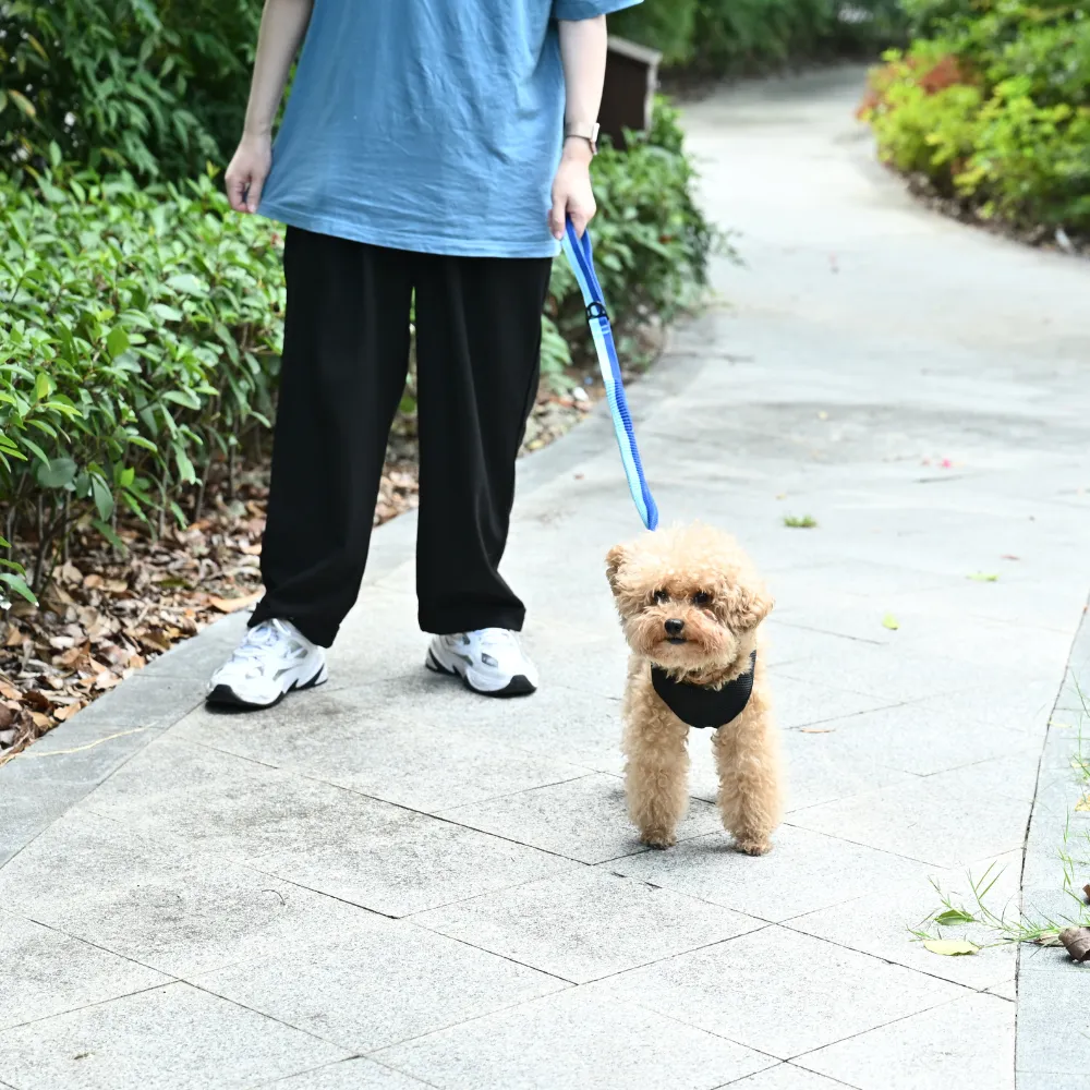 Wholesale Dog Shock Absorbing Leash