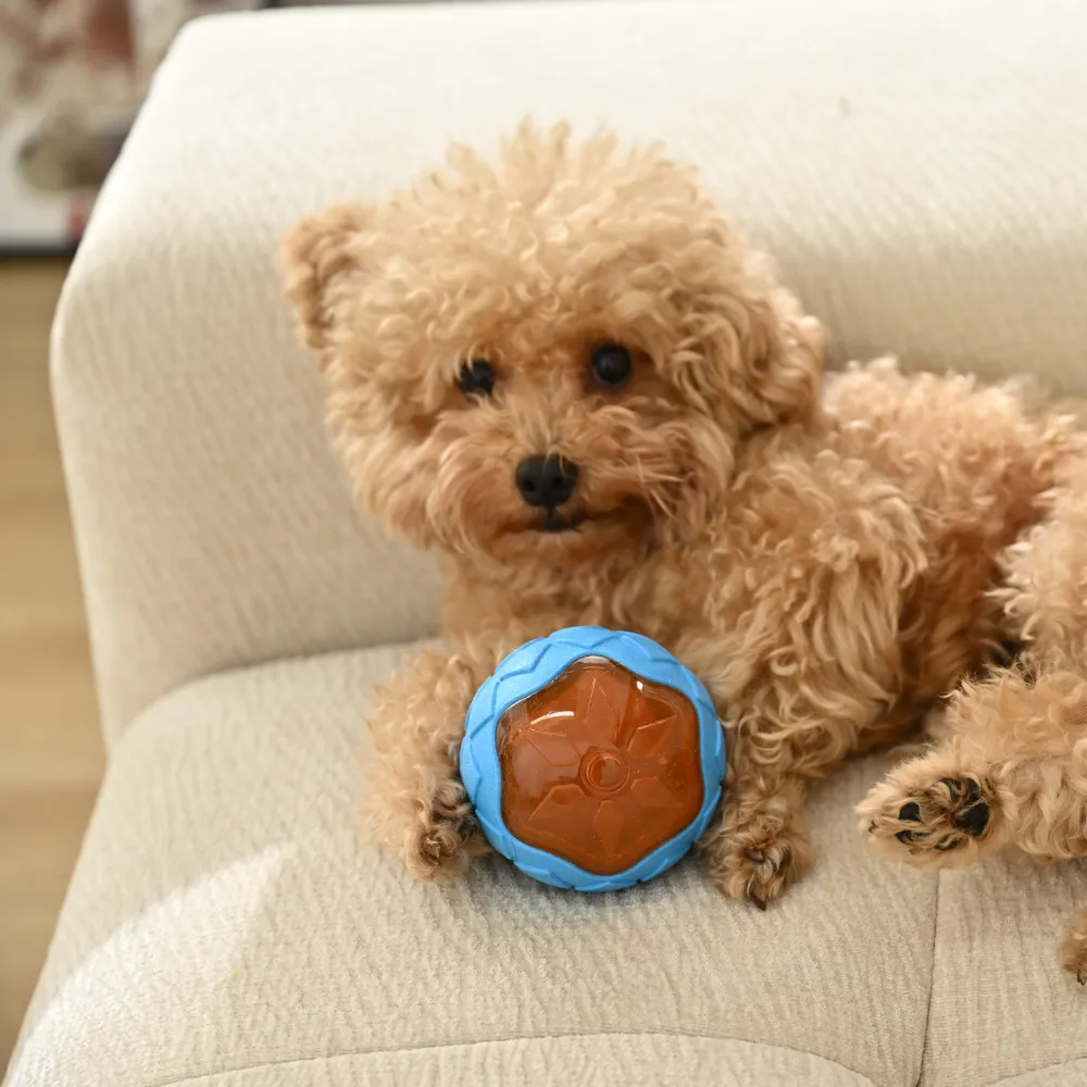 Wholesale Dog TPR Floating Ball Toy, Blue, 16pcsCarton