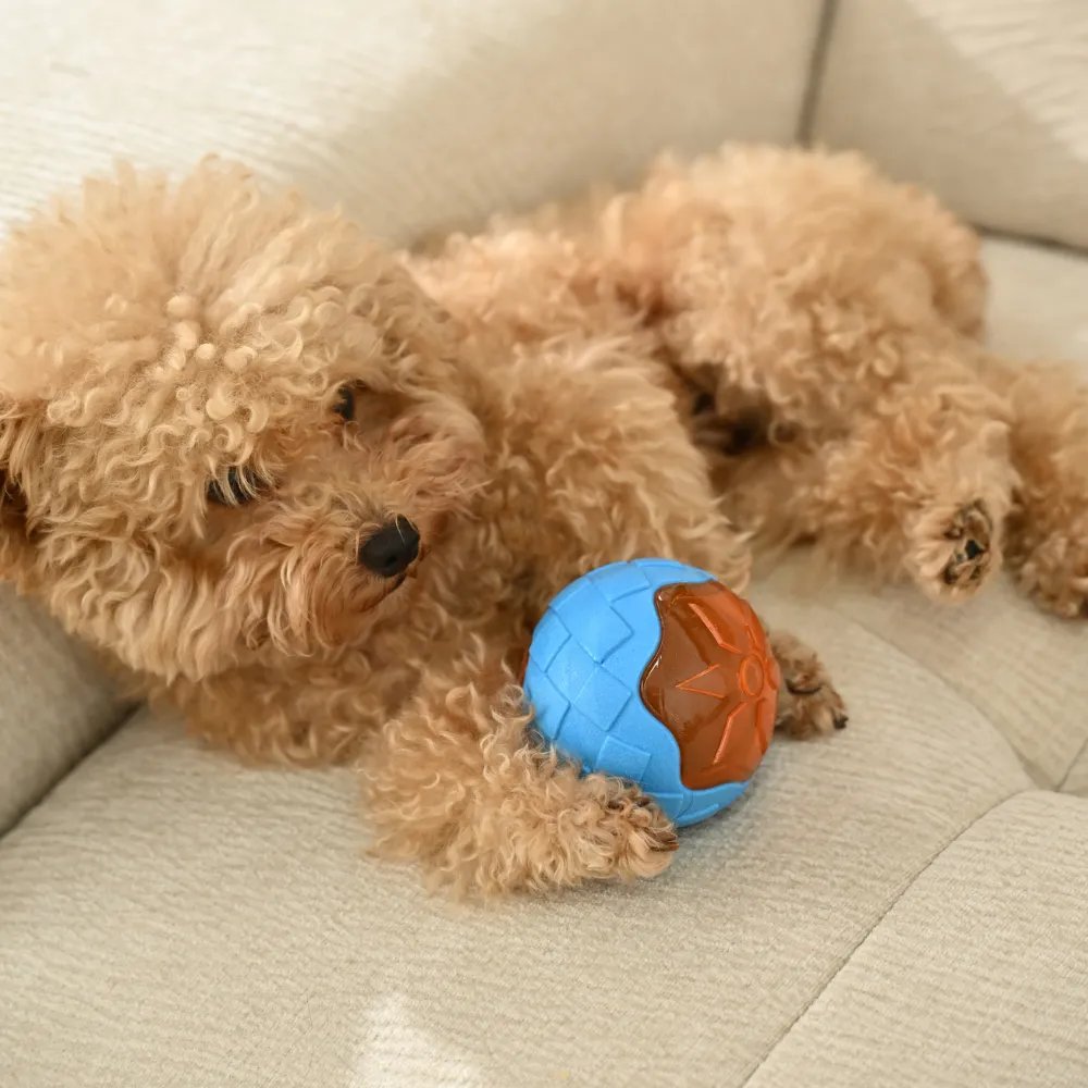 Wholesale Dog TPR Floating Ball Toy, Blue, 16pcsCarton