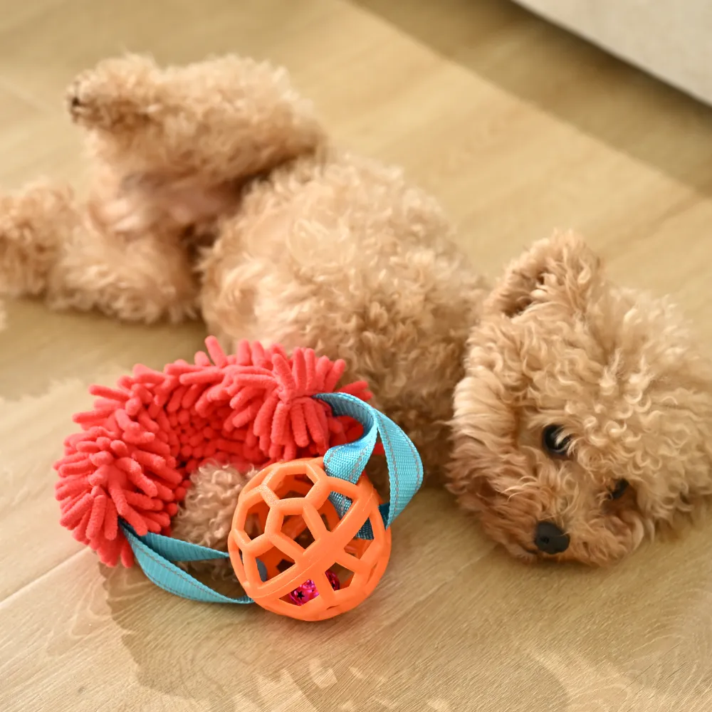 Wholesale Dog Tug Toy with Hollow TPR Ball, 3 Assorted Colors, 12pcsCarton