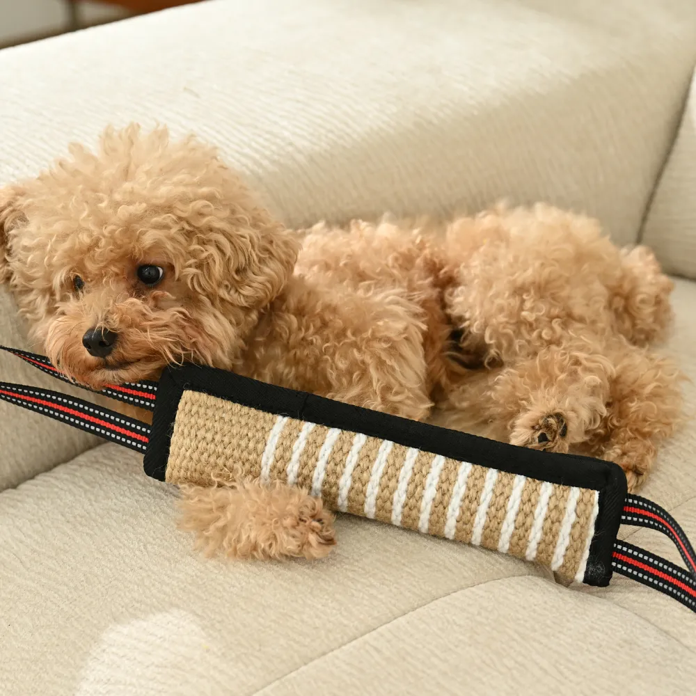 Wholesale Dogs Chew Stick Tough Toy,23, 4 Assorted Colors, 15pcsCarton