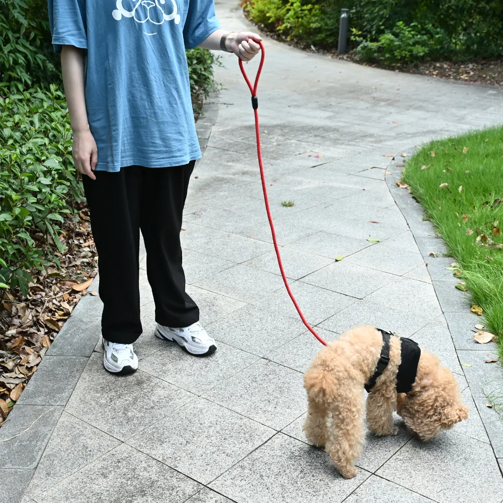 Wholesale Durable Dog Leash