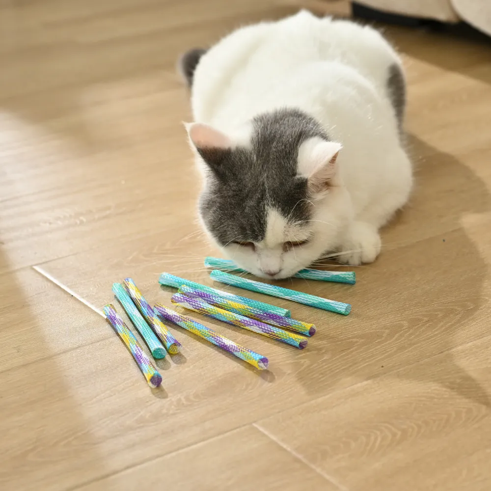 Wholesale Interactive Cat Spring Toy Set, 10pcsPack, 40packsCarton