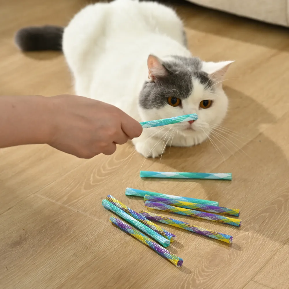 Wholesale Interactive Cat Spring Toy Set, 10pcsPack, 40packsCarton