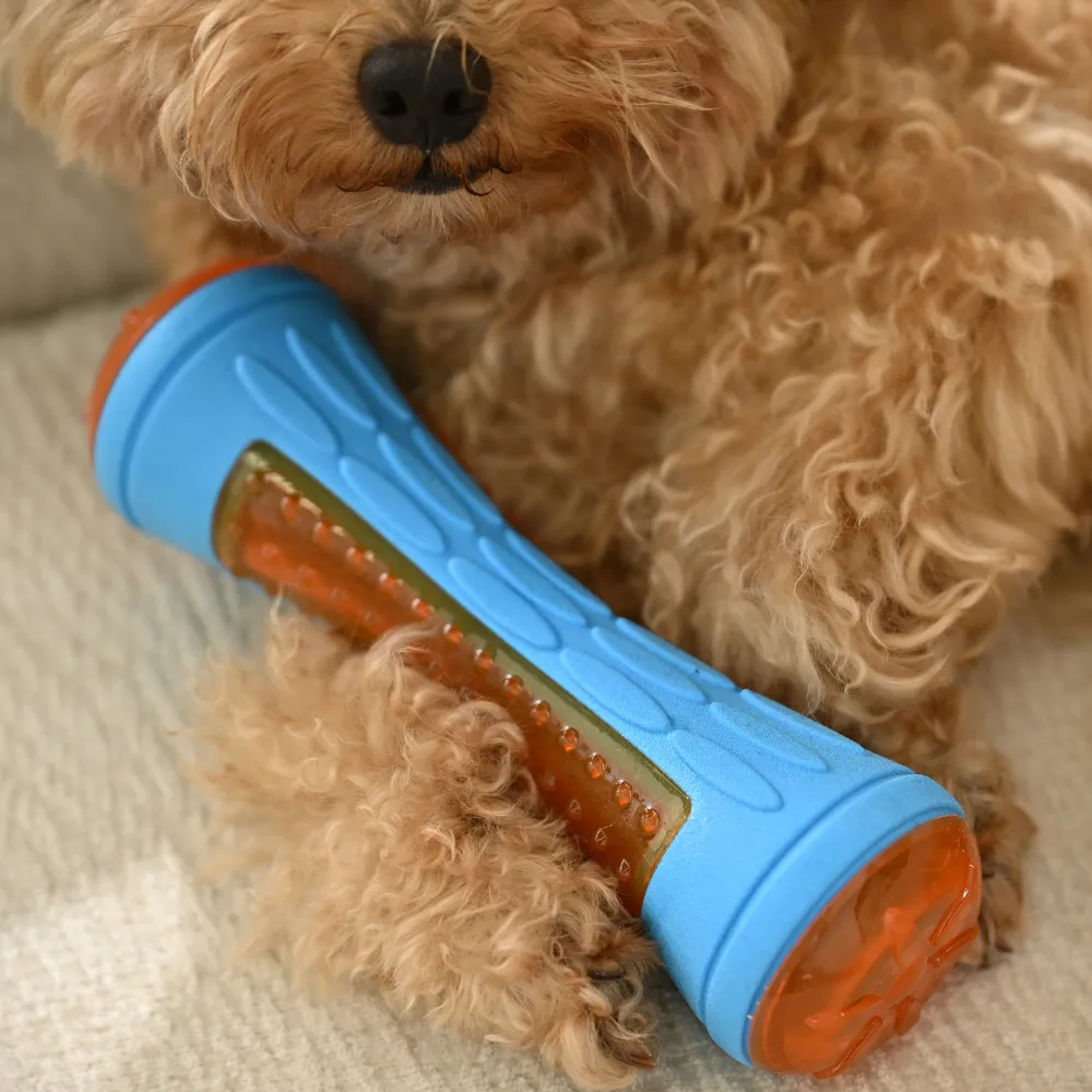 Wholesale Interactive Dog TPR Floating Stick Toy, Blue, 20pcs/Carton