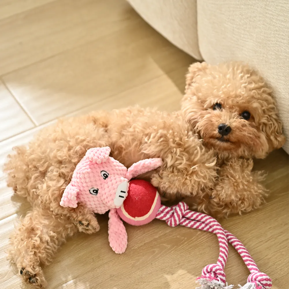 Wholesale Long Legs Funny Pig Shape Dog Chew Toy