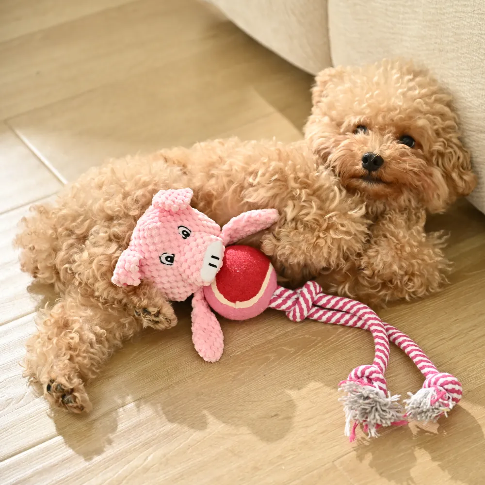 Wholesale Long Legs Funny Pig Shape Dog Chew Toy