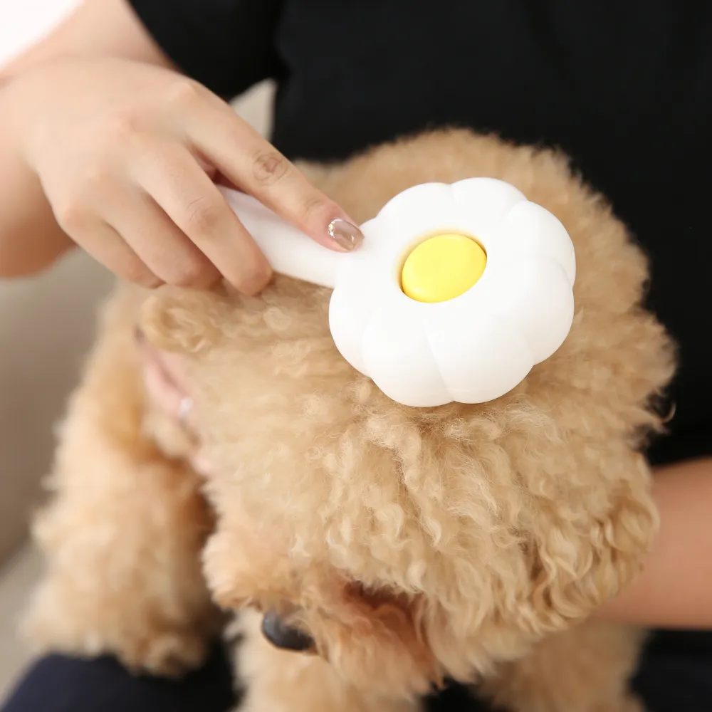 Wholesale Pet Grooming Set of 3 Cleaning Brush for Dogs and Cats , 3 Colors Assorted, 48pcsCarton