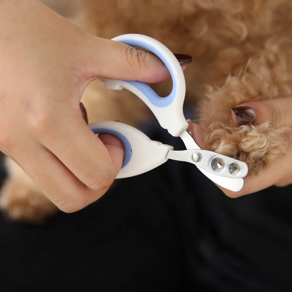 Wholesale Pet Grooming Set of 3 Cleaning Brush for Dogs and Cats , 3 Colors Assorted, 48pcsCarton