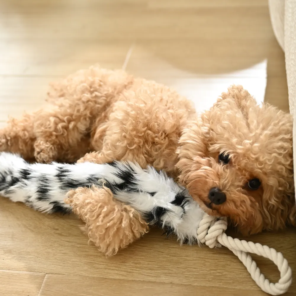 bulk Long Tail Plush Dog Toy