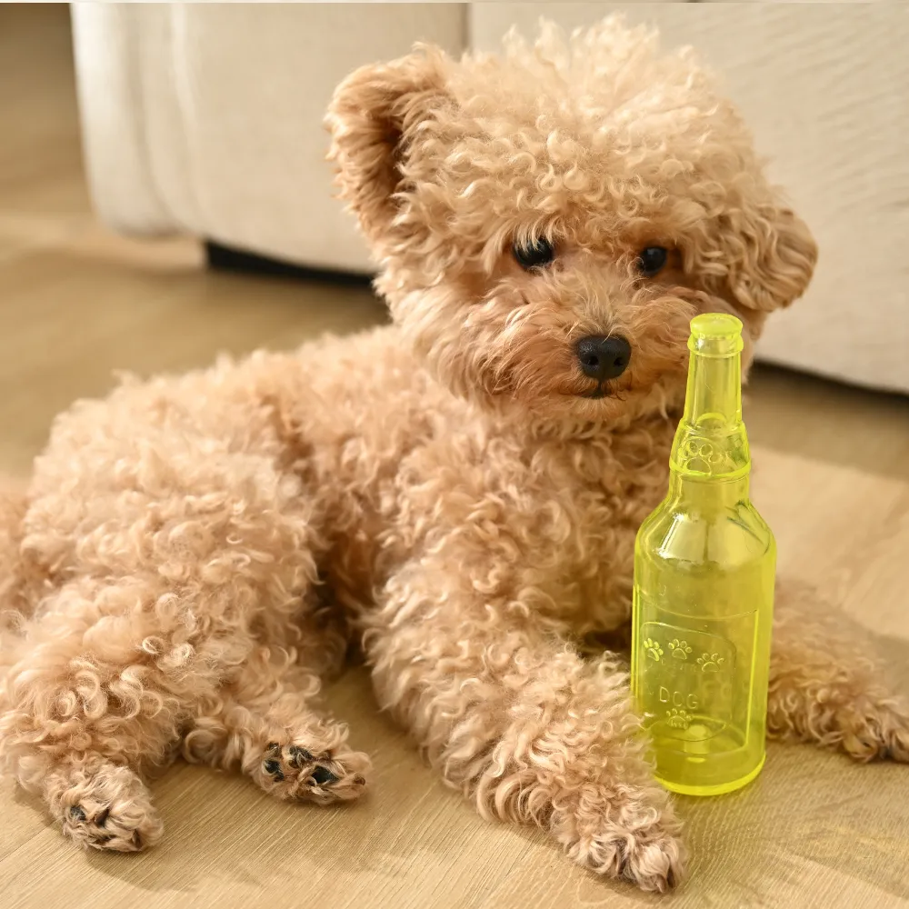 wholesale Pet TPR Bottle Toy, 4 Colors Assorted, 24pcsCarton