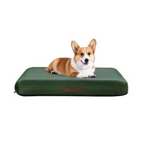 Outdoor Inflatable Dog Bed