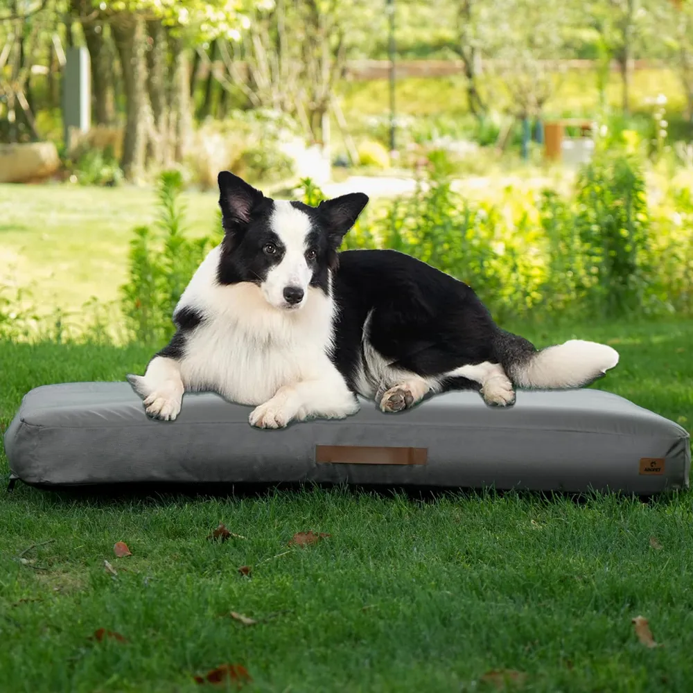 Inflatable Pet Bed Waterproof