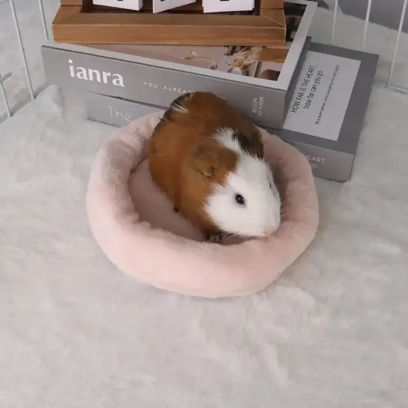 Soft Hamster Bed For Sale