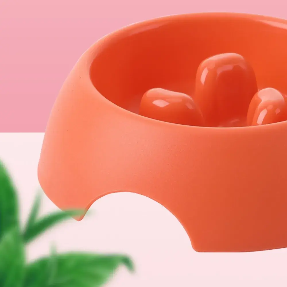 Wholesale PP Slow Feeder Pet Bowl