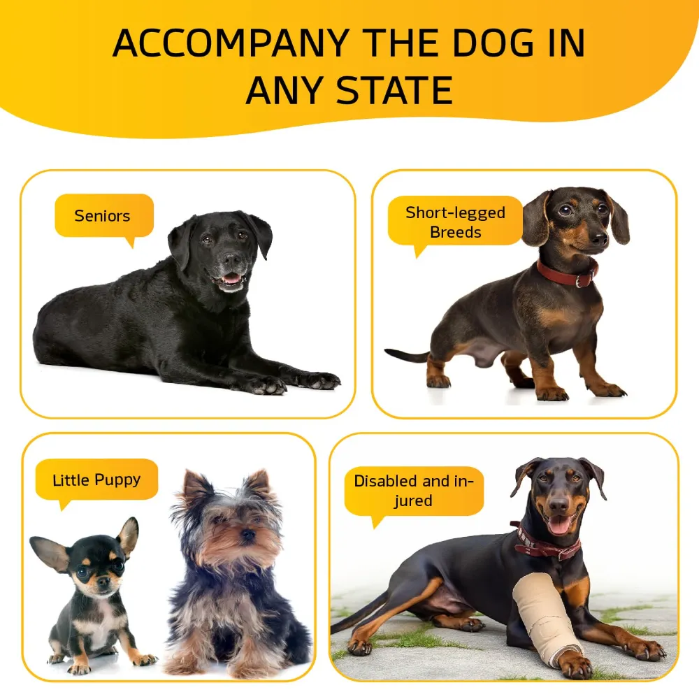 1. Multi-Functional Design for Easy Access Leans securely against beds, sofas, or furniture, giving small, elderly, or injured pets a safe way to reach higher spots without jumping. 2. Multiple Height Options for Any Need Available in 3-step, 4-step, and 5-step models—from 13.5" to 22.5"—to match low couches, tall beds, and even vehicles. 3. Soft Corduroy Surface with Non-Slip Bottom Gentle corduroy fabric enhances traction, while the anti-slip base keeps the stairs stable on any floor type. 4. Strong 35D High-Density Foam & Foldable Design Supportive 35D foam provides sturdy climbing without hard boards and easily folds into a comfy dog bed for naps. 5. Removable & Machine-Washable Cover Zippered cover lifts off for quick washing; allow 24–48 hours for the foam to fully expand after opening.