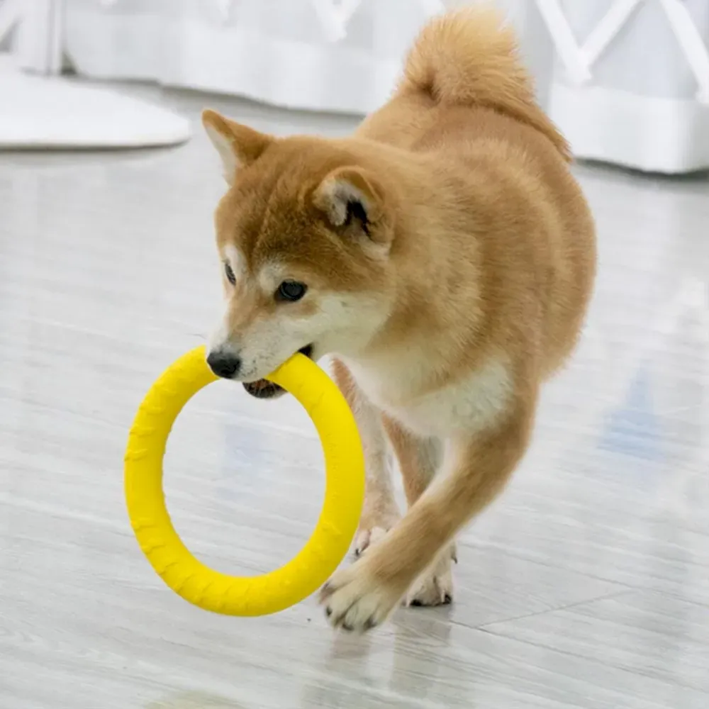 Durable Dog Flying Disc Floating Dog Ring Toys