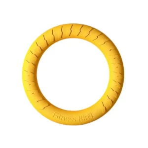 Durable Outdoor Dog Flying Disc Floating Dog Ring Toys