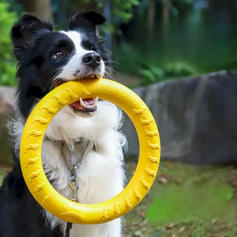 Durable Outdoor Dog Flying Disc Floating Ring Toys