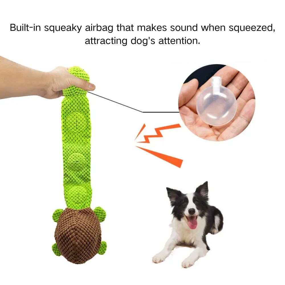 Interactive Turtle Dog Toy