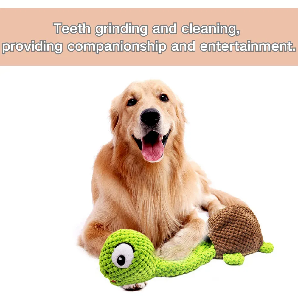 Interactive Turtle Toy with Food Dispenser