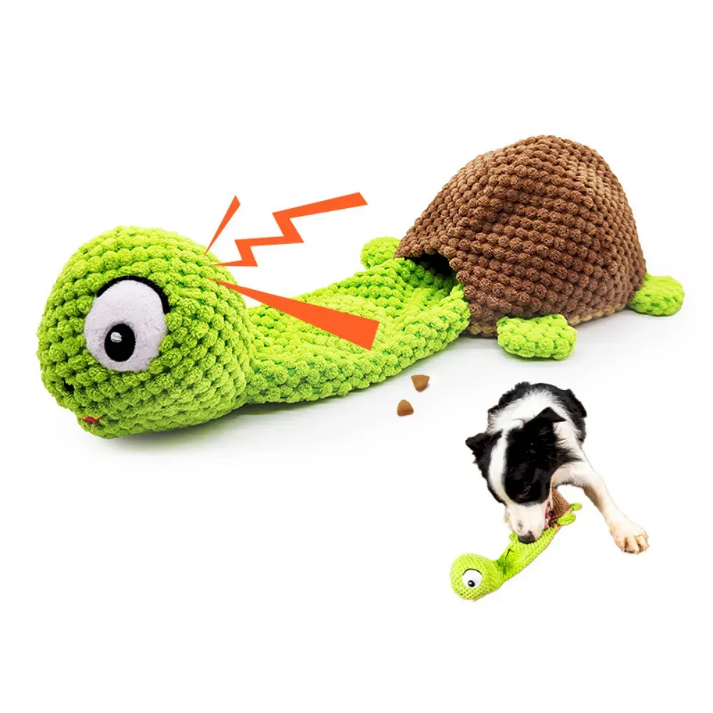 Interactive Turtle with Food Dispenser