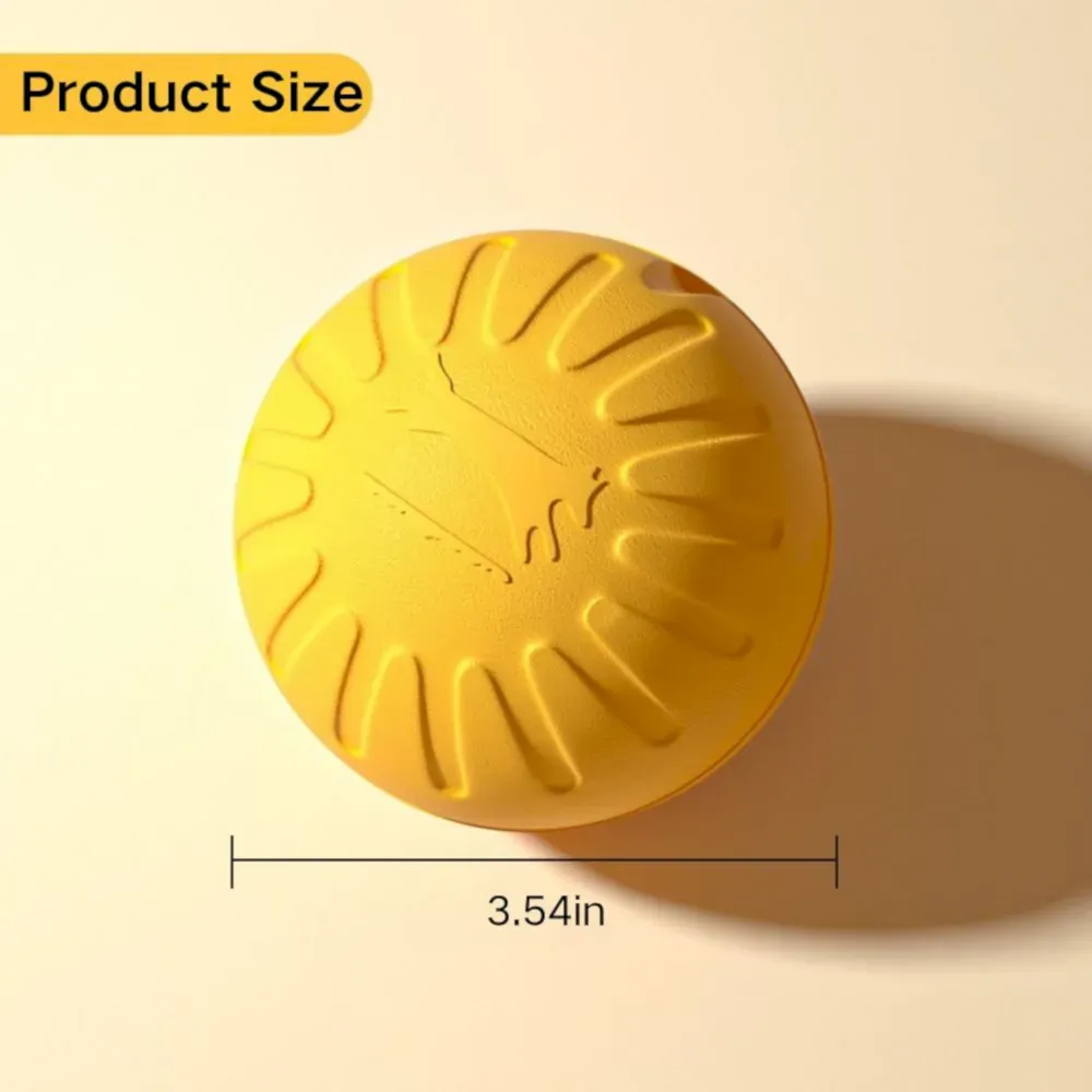 Outdoor Floating Bouncy Dog Toy Fetch Ball